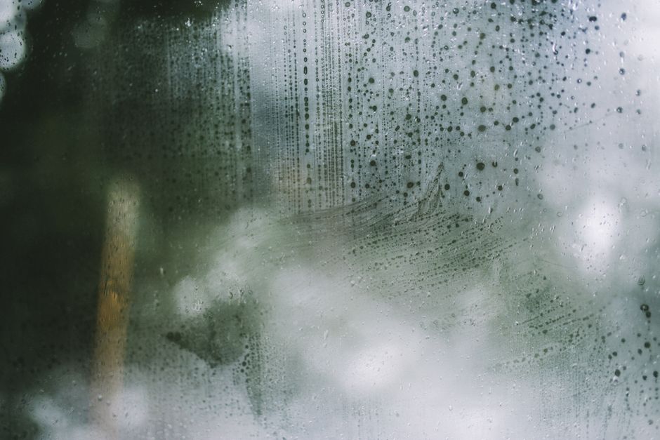 A misty, rain-drenched window capturing the serene ambience of Portland's weather.